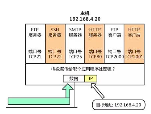 通过端口号识别应用